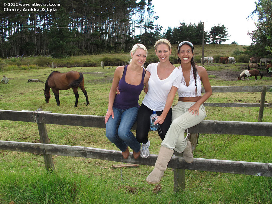 In The Crack In New Zealand